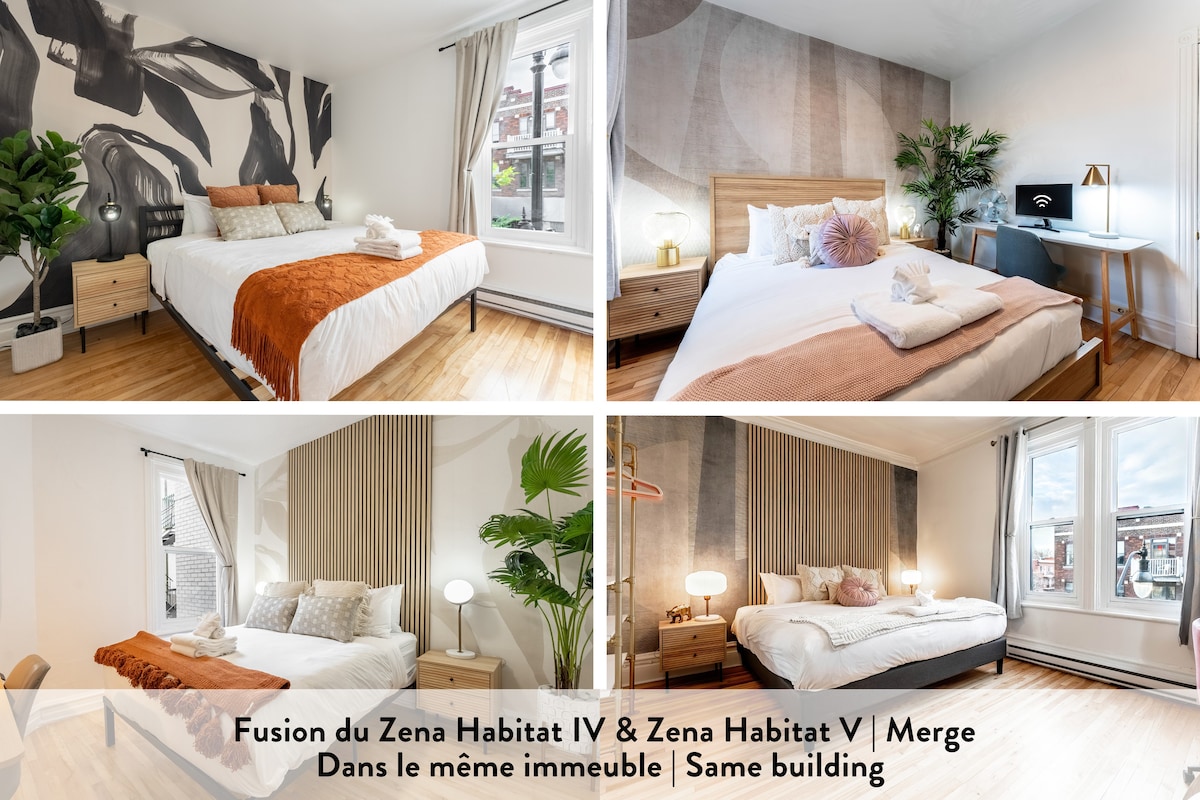 Image primaire de Zena Symbiose | Workspace & Wi-Fi | AC |